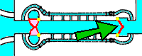 Click to display the plan