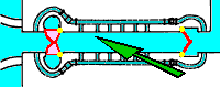 Click to display the plan