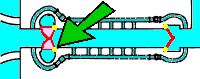 Click to display the plan